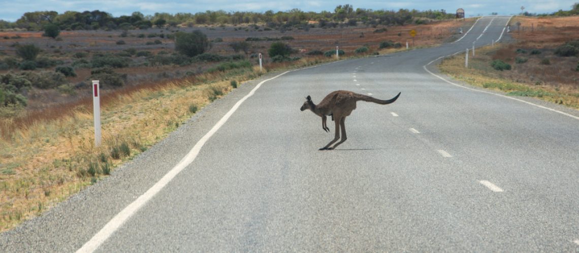 shutterstock_433590460